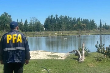 Allanaron dos quintas de Canning donde había tucanes, flamencos y antílopes de la India