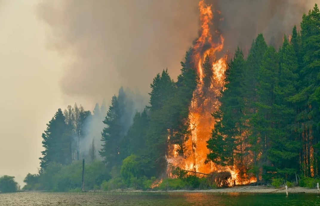 El Gobierno anunció que endurecerá penas contra quienes provoquen incendios