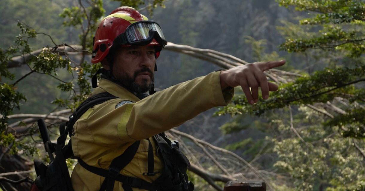 Incendios en la Patagonia: tras la pérdida de 10 mil hectáreas de bosque nativo, el Gobierno intervino el Parque Nacional Los Alerces