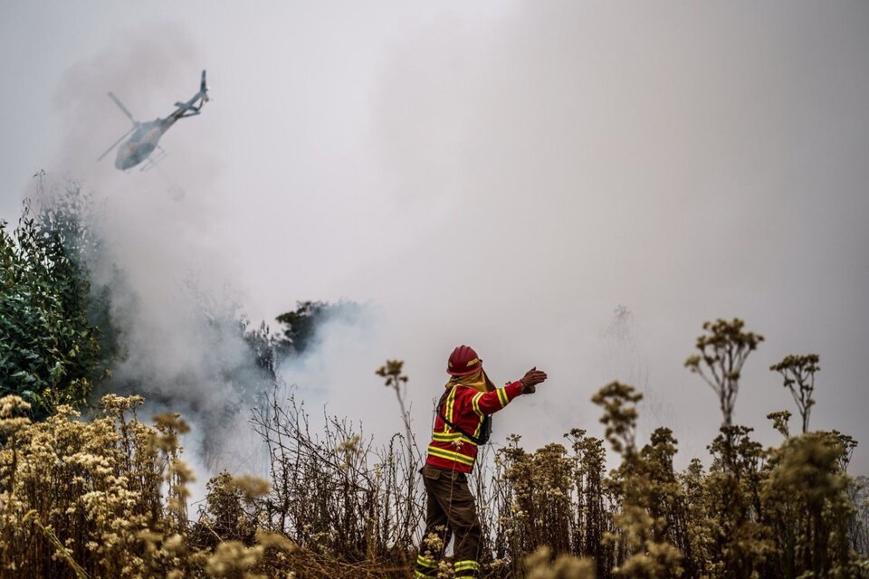 Incendios forestales en Chile: ascienden a 112 los muertos y hay 15 mil viviendas afectadas por las llamas