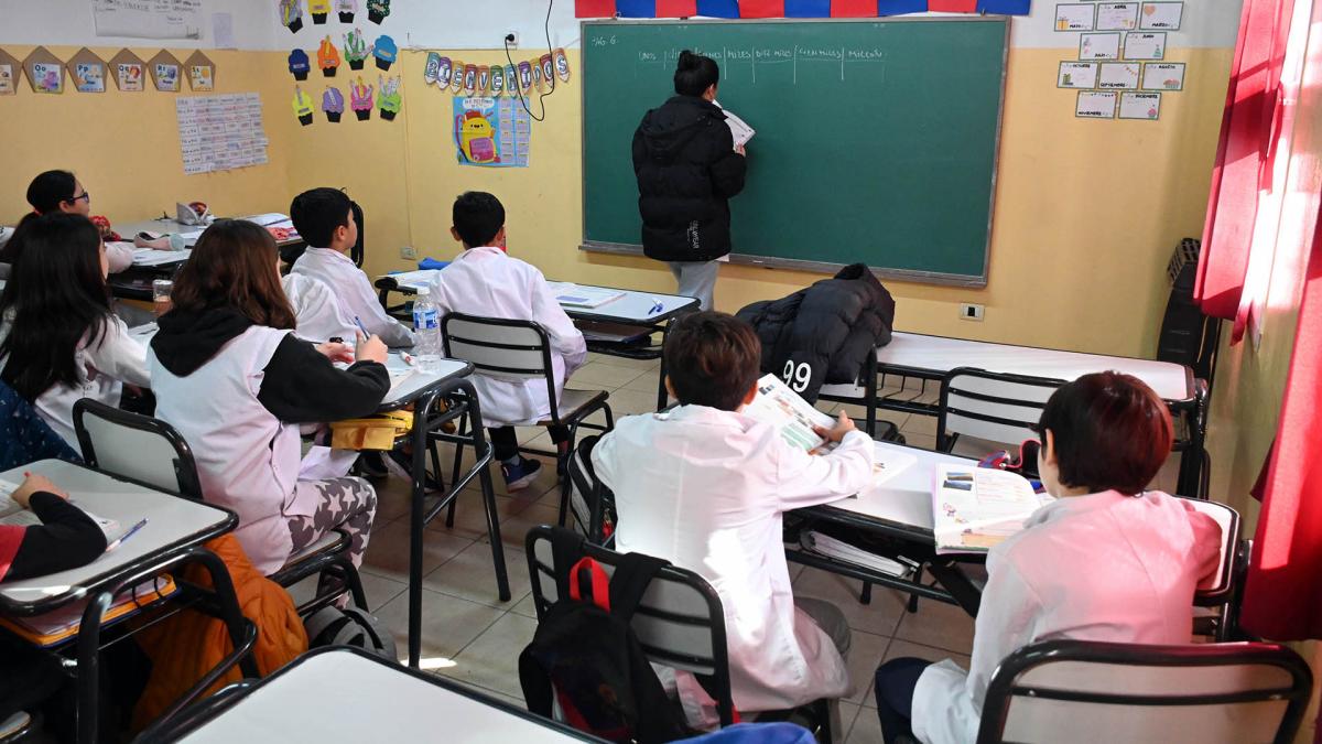 A días del inicio de clases el Gobierno evalúa declarar la educación 