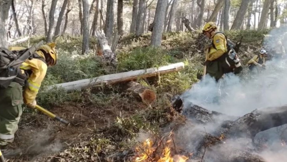 Lograron controlar el incendio en el Parque Nacional Los Alerces y empieza la etapa de extinción