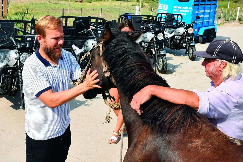 El Municipio de Ezeiza presentó un programa para dar en adopción a caballos rescatados