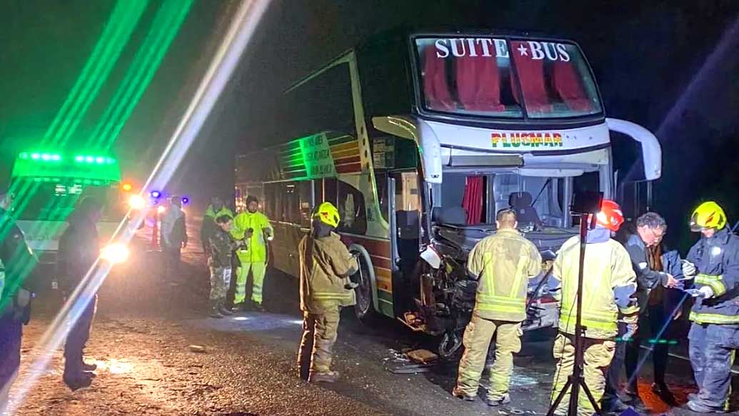 Cañuelas: Micro de larga distancia impactó contra dos vacas en la Ruta 3