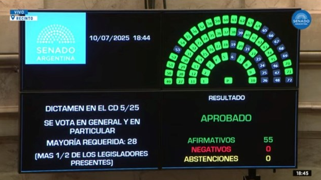 Cómo se aprobó la ley que declara la emergencia en materia de discapacidad