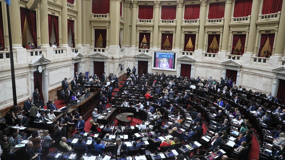 Sin consenso sobre las PASO, Diputados comienza a debatir la ficha limpia