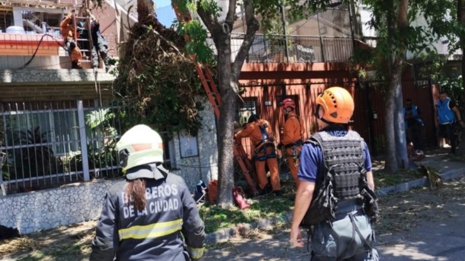 Tragedia en Saavedra: podaba el árbol frente a su casa, cayó y murió ahorcado