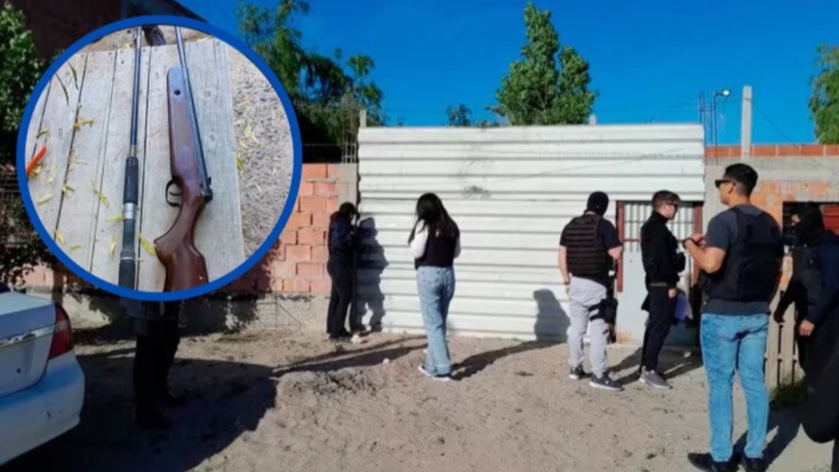 El gallo de su vecina no lo dejaba dormir y le disparó a la casa con un rifle de aire comprimido