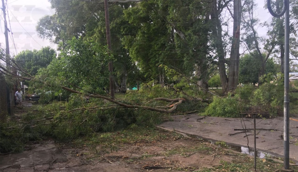 Fuerte temporal en la región: corte de trenes, luz y destrozos en la vía pública