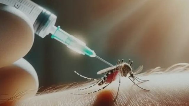 La vacuna contra el dengue cuesta más de $ 70 mil