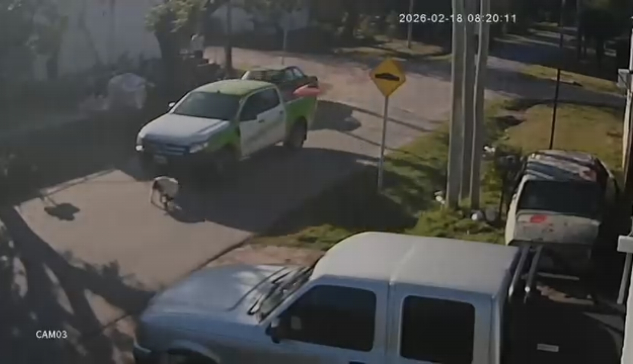 Un chófer de la camioneta del municipio de Esteban Echeverría atropella a un perro en El Jagüel y se da a la fuga