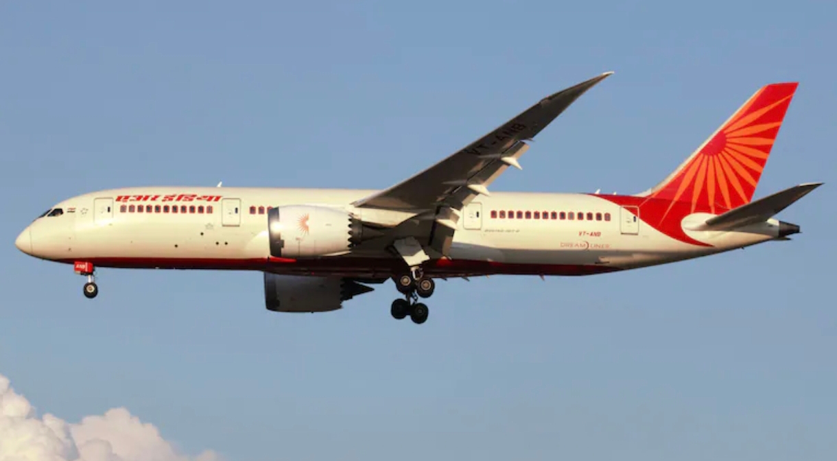“Golpes de aves”: revelaron los detalles de la primera hipótesis sobre el accidente aéreo en India