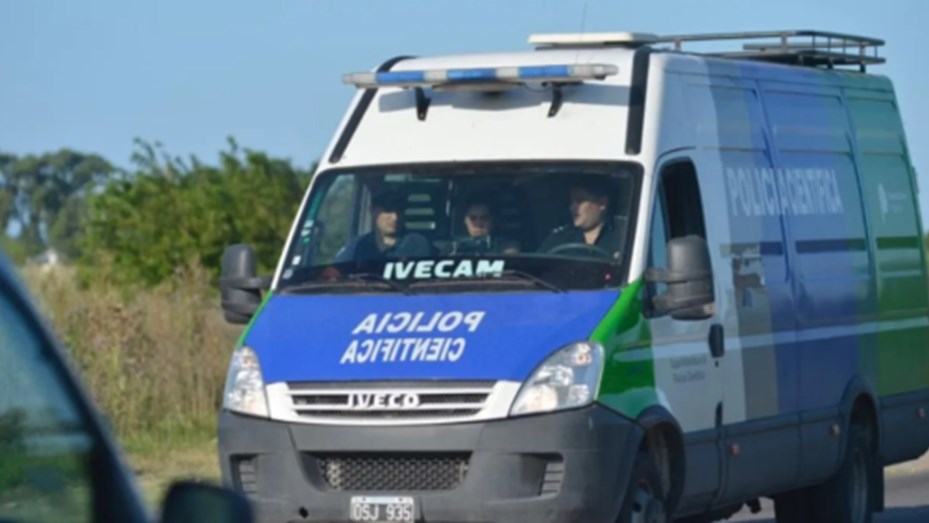 Cubierto de mordeduras, hallaron muerto en un campo a un nene de 2 años tras horas de búsqueda