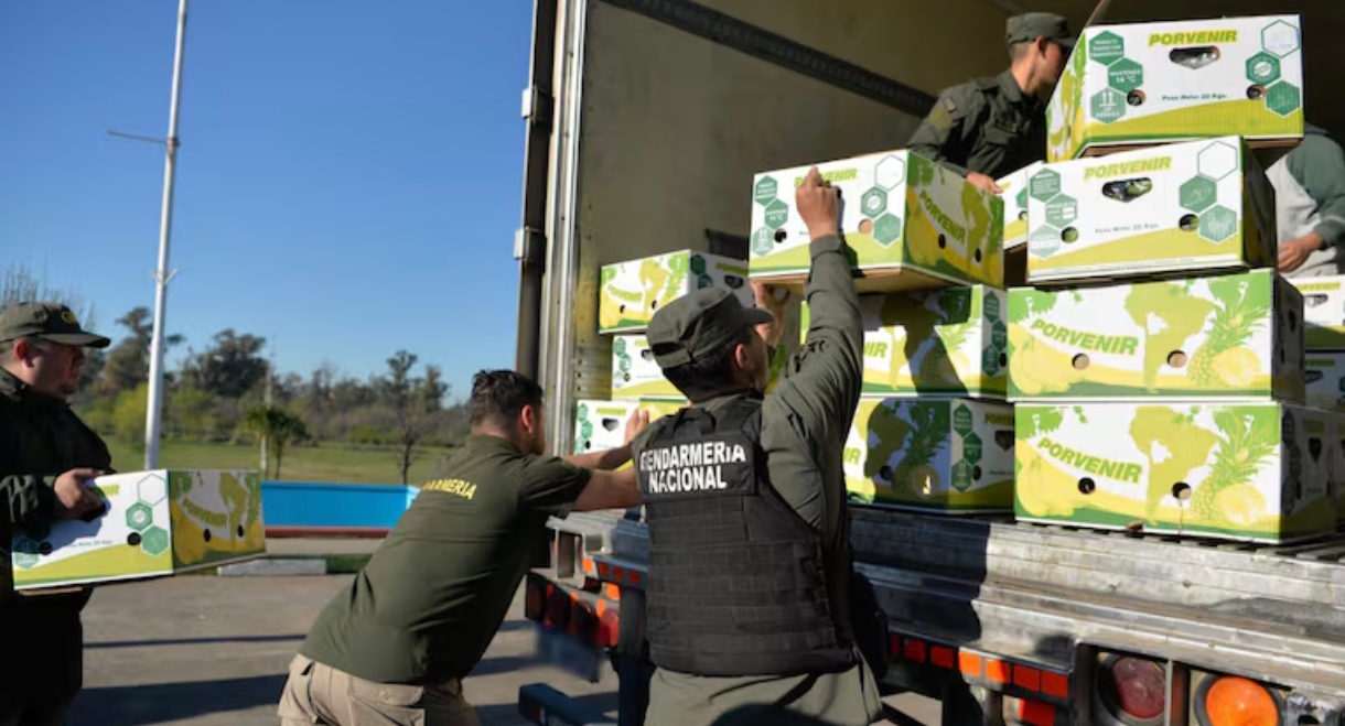 Golpe al narcotráfico: incautaron más de 444 kilos de cocaína escondidos entre bananas en Esteban Echeverría