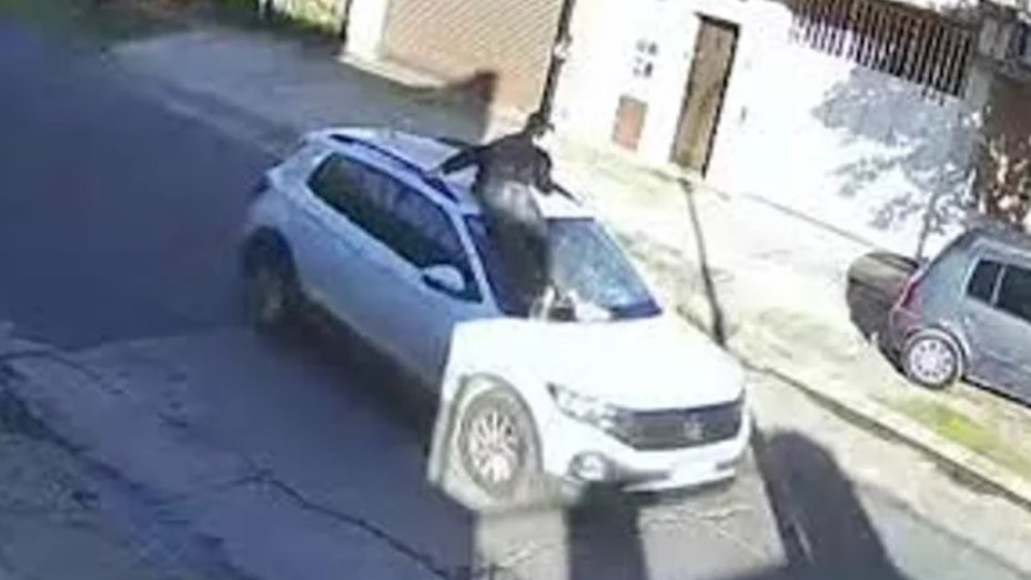 Inhabilitaron a la conductora que arrastró a un joven tras un choque en la vía pública