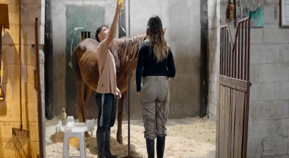 Iban al matadero y ahora tienen una nueva vida: así están los 700 caballos rescatados del “campo del horror” de Tristán Suárez 